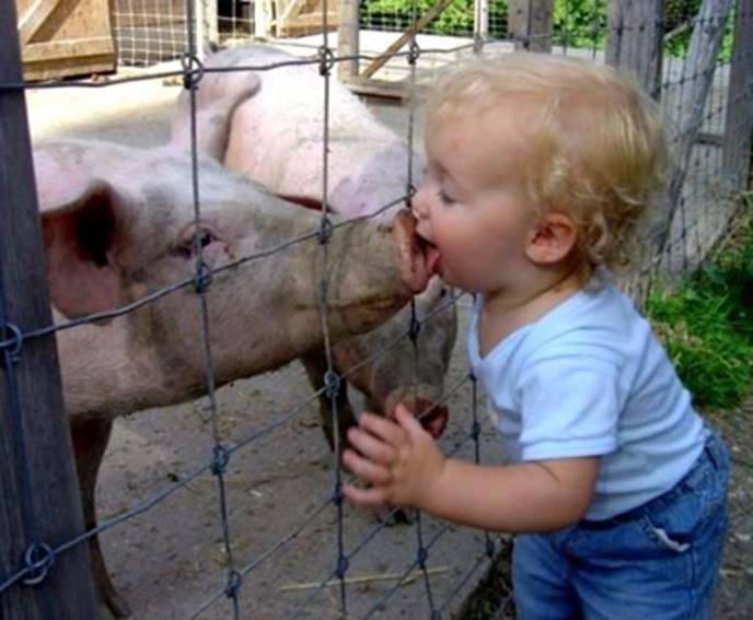 attachment.php