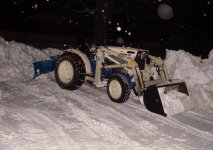 beaver in snow.jpg