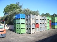 PalletBoxesFull1.JPG