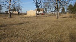 View looking back up to the house1.jpg