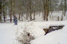 bridge & helper woman in snow.jpg