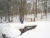 woman on bridge over creek woods in back.jpg