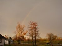 rainbow 005 (Small).jpg