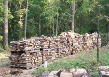 Firewood_18_pallets_ff.JPG