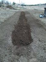 adding manure to trench.jpg
