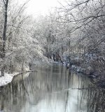 252337-Ice Storm Closeup-505.jpg