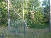 deer stand 015.jpg