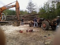 wood processing sm.JPG