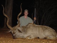 438484-Kudu Bull.JPG