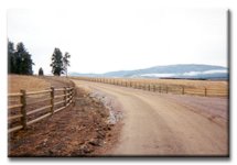 beaver fence.jpg