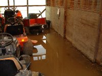 442854-flooded barn.jpg