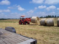 Hay 2010 085.JPG