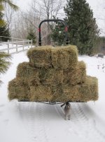 2320 Hauling Hay VII.jpg