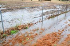 5-Water also comes down from neighbor's yard next to back lot alsoJPG.jpg