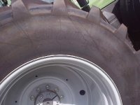 312901-FENDT tires.JPG