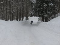 2008 snow.jpg