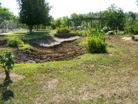 6-18-11 Mucking Out Large Koi Pond or Lagoon.jpg