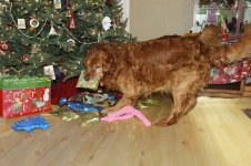 rusty stealing present small 2.jpg