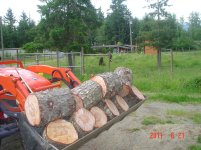 Logging 006.jpg