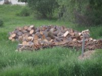Wood pile2 5-30-10 (Large).JPG
