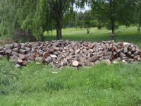 wood pile3 7-5-10 (Medium).JPG