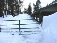 snow shedding e side AFTER 2008.jpg