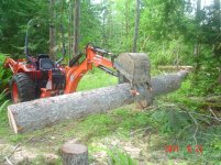 Logging 008.jpg