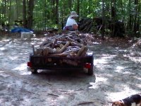 Hauling Firewood.jpg