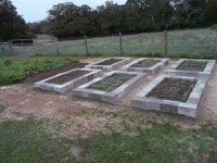 raised beds 2.jpg