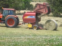 Hay making 006.jpg