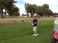 golfing in Colorado.jpg