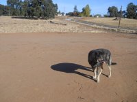 mt aukum barn pad 003.jpg