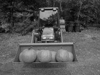 Kubota B3030 & Pumpkins EM BW.JPG