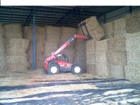 Stacking oaten hay TBN.jpg