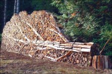 firewood1.jpg