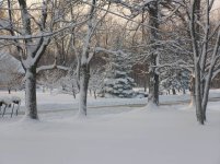 392925-early mornig snow.jpg