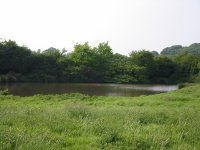 Original pond.jpg