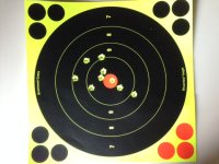 22lr 100  yards peep sights.JPG