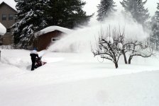 snow blowing.a.jpg