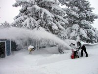 arlyn blowing snow 05.jpg