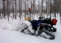 Griz drags deep snow.a.jpg