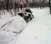 Griz drags deep snow.jpg