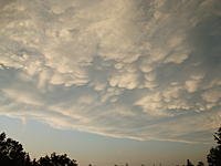 thumb-Mammacumulus Clouds (1).jpg