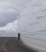 Beartooth Snow.jpg