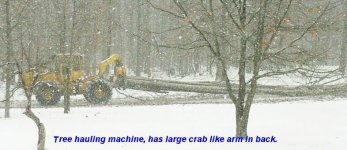 35-226582-TreeHaulMachine.jpg