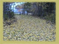 Fall Day at Wallace River (621 x 459).jpg