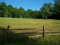 Pasture Field.jpg