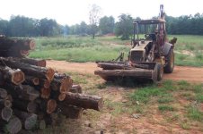 Cedar logs in my FEL.jpg