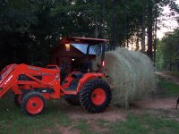 Moving Hay.JPG