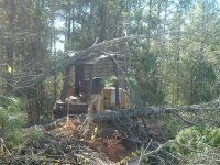 3  Trees piling up on top of my dozer.jpg